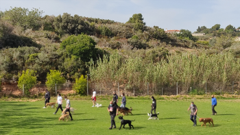 la mejor residencia canina de Valencia