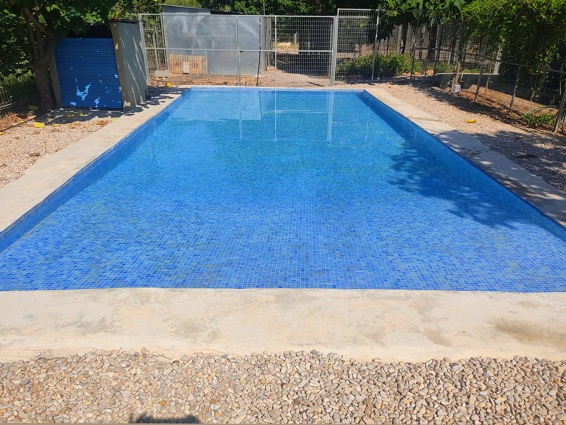 piscina-perros-residencia-canina-delxiquet-valencia.jpg